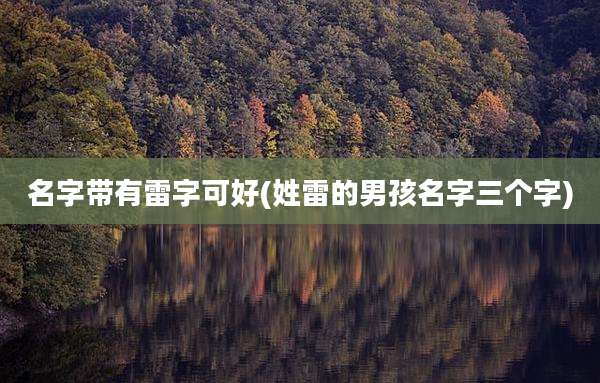 名字带有雷字可好(姓雷的男孩名字三个字)
