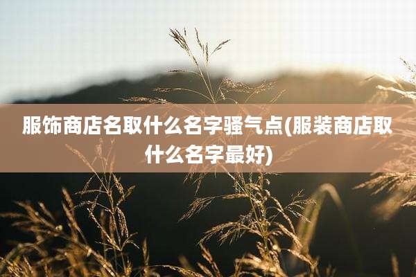服饰商店名取什么名字骚气点(服装商店取什么名字最好)