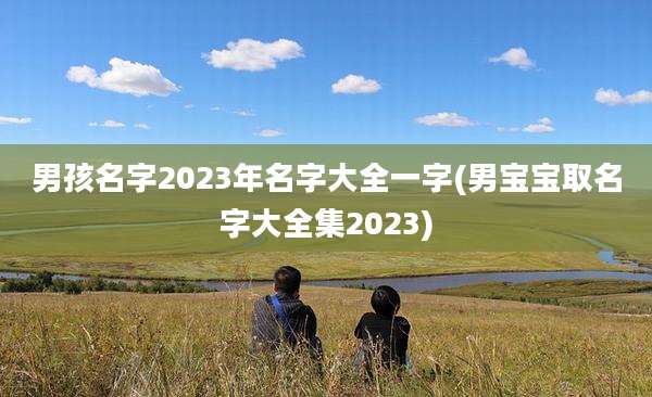 男孩名字2023年名字大全一字(男宝宝取名字大全集2023)