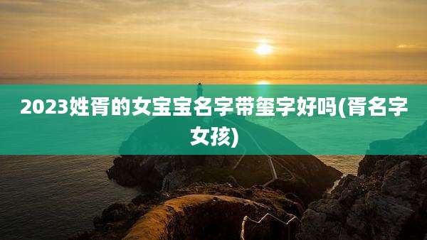 2023姓胥的女宝宝名字带玺字好吗(胥名字女孩)