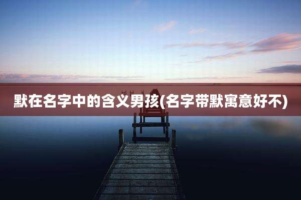 默在名字中的含义男孩(名字带默寓意好不)