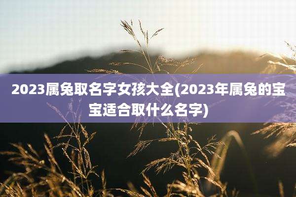 2023属兔取名字女孩大全(2023年属兔的宝宝适合取什么名字)