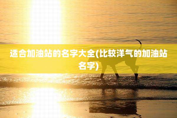 适合加油站的名字大全(比较洋气的加油站名字)