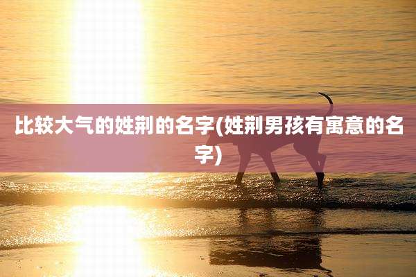 比较大气的姓荆的名字(姓荆男孩有寓意的名字)