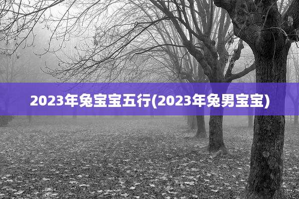 2023年兔宝宝五行(2023年兔男宝宝)