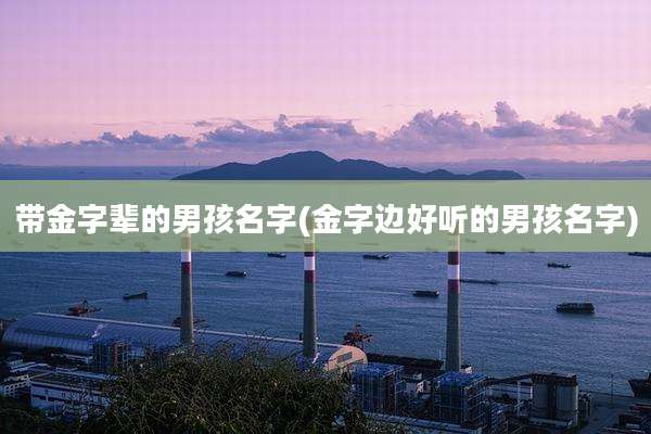 带金字辈的男孩名字(金字边好听的男孩名字)