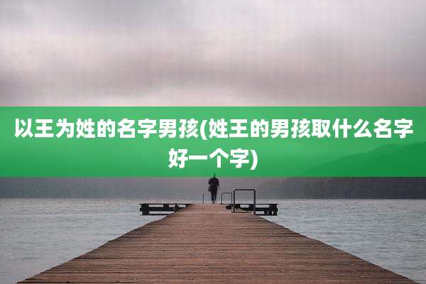 以王为姓的名字男孩(姓王的男孩取什么名字好一个字)
