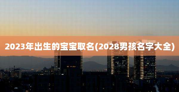 2023年出生的宝宝取名(2028男孩名字大全)