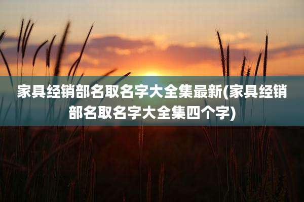 家具经销部名取名字大全集最新(家具经销部名取名字大全集四个字)