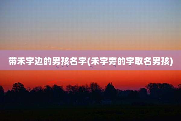 带禾字边的男孩名字(禾字旁的字取名男孩)