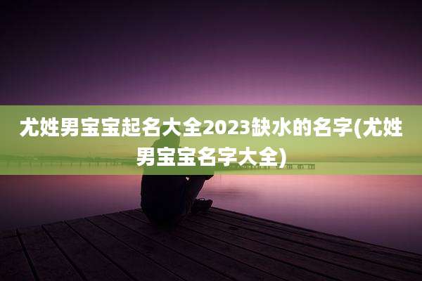 尤姓男宝宝起名大全2023缺水的名字(尤姓男宝宝名字大全)