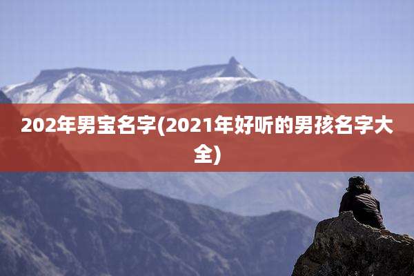 202年男宝名字(2021年好听的男孩名字大全)