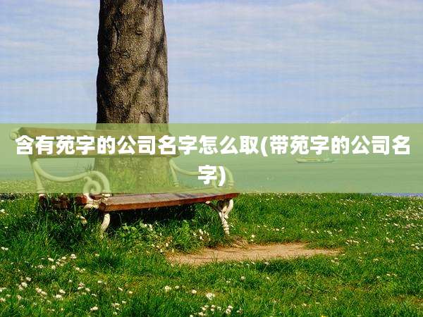 含有苑字的公司名字怎么取(带苑字的公司名字)