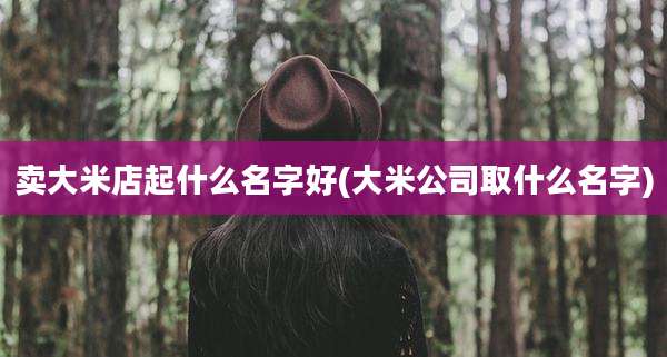 卖大米店起什么名字好(大米公司取什么名字)