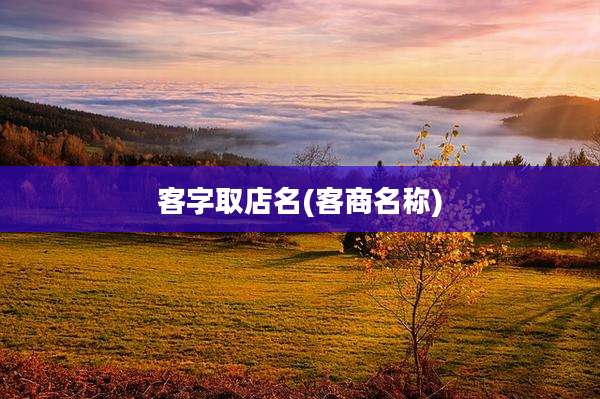 客字取店名(客商名称)