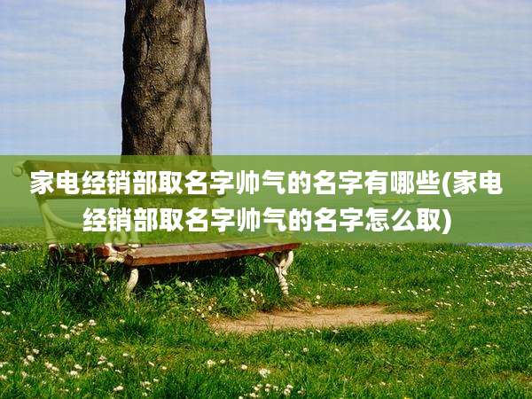 家电经销部取名字帅气的名字有哪些(家电经销部取名字帅气的名字怎么取)