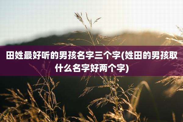 田姓最好听的男孩名字三个字(姓田的男孩取什么名字好两个字)