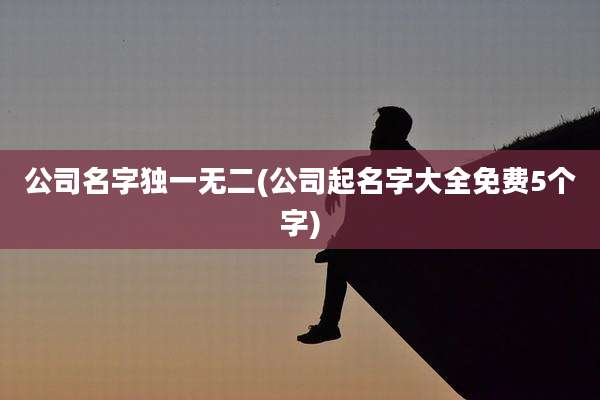公司名字独一无二(公司起名字大全免费5个字)