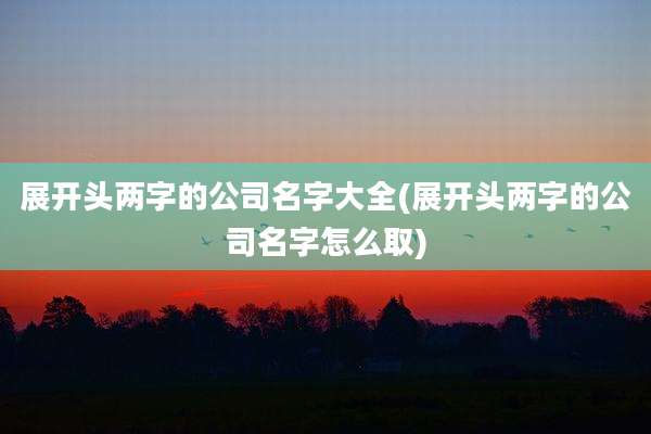 展开头两字的公司名字大全(展开头两字的公司名字怎么取)
