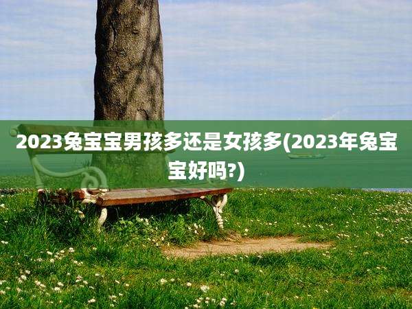 2023兔宝宝男孩多还是女孩多(2023年兔宝宝好吗?)
