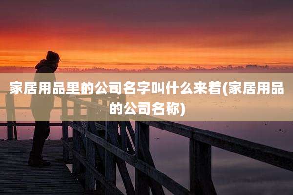 家居用品里的公司名字叫什么来着(家居用品的公司名称)