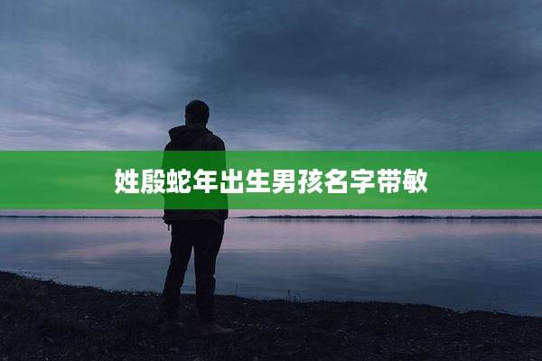 姓殷蛇年出生男孩名字带敏
