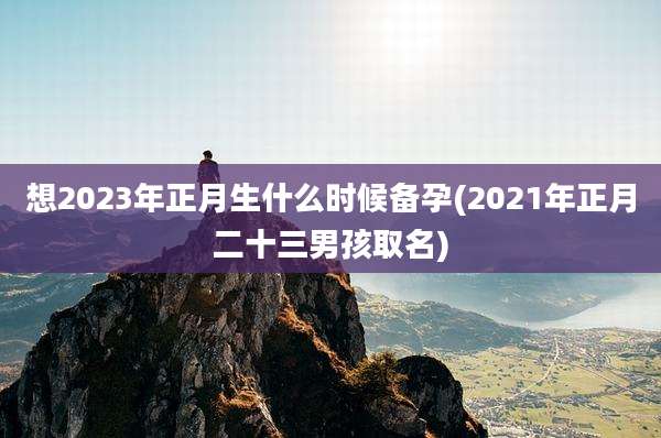想2023年正月生什么时候备孕(2021年正月二十三男孩取名)