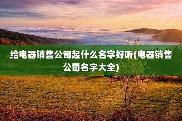 给电器销售公司起什么名字好听(电器销售公司名字大全)