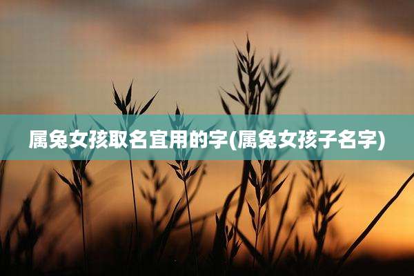 属兔女孩取名宜用的字(属兔女孩子名字)