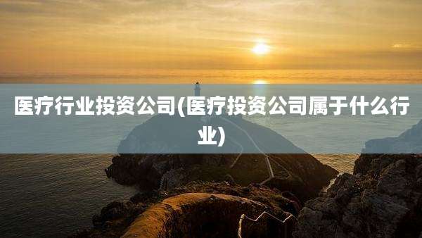 医疗行业投资公司(医疗投资公司属于什么行业)