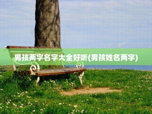男孩两字名字大全好听(男孩姓名两字)