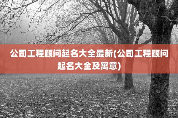 公司工程顾问起名大全最新(公司工程顾问起名大全及寓意)