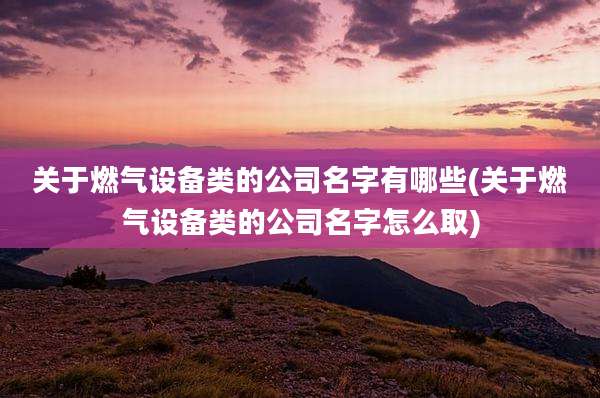 关于燃气设备类的公司名字有哪些(关于燃气设备类的公司名字怎么取)