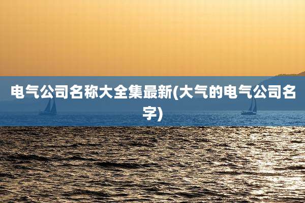 电气公司名称大全集最新(大气的电气公司名字)