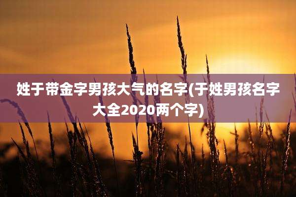 姓于带金字男孩大气的名字(于姓男孩名字大全2020两个字)