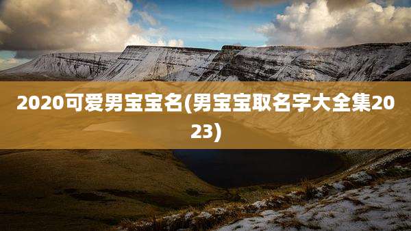 2020可爱男宝宝名(男宝宝取名字大全集2023)