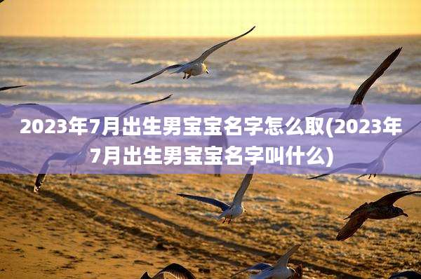 2023年7月出生男宝宝名字怎么取(2023年7月出生男宝宝名字叫什么)