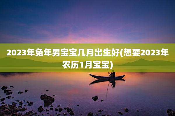 2023年兔年男宝宝几月出生好(想要2023年农历1月宝宝)