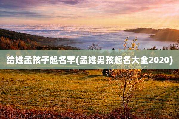 给姓孟孩子起名字(孟姓男孩起名大全2020)