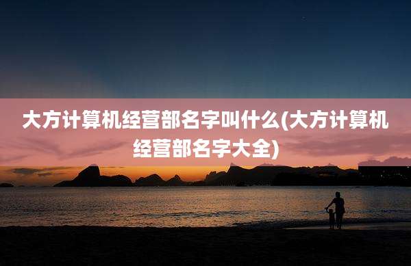 大方计算机经营部名字叫什么(大方计算机经营部名字大全)