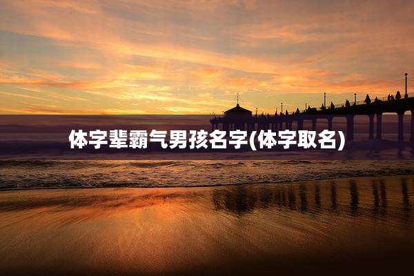 体字辈霸气男孩名字(体字取名)