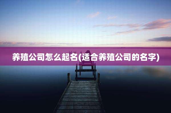 养殖公司怎么起名(适合养殖公司的名字)