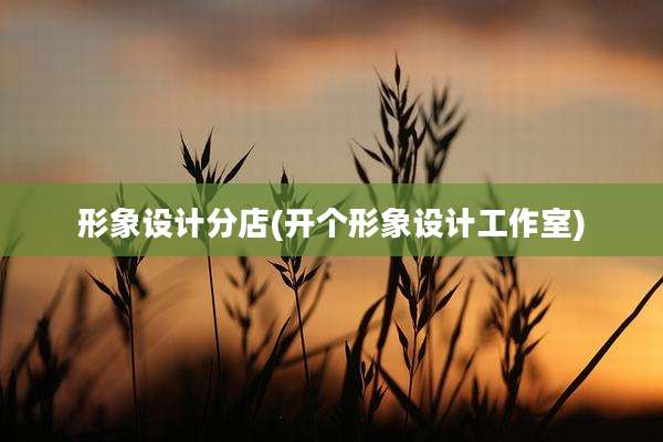 形象设计分店(开个形象设计工作室)
