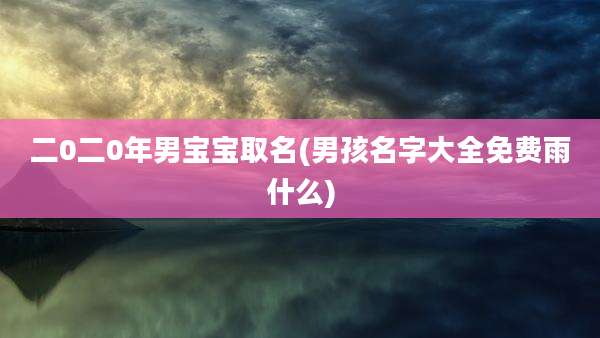 二0二0年男宝宝取名(男孩名字大全免费雨什么)