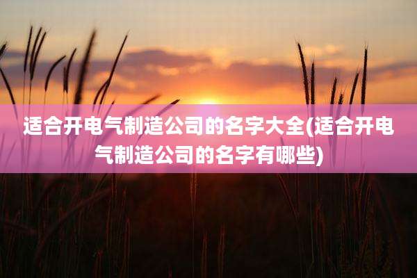 适合开电气制造公司的名字大全(适合开电气制造公司的名字有哪些)