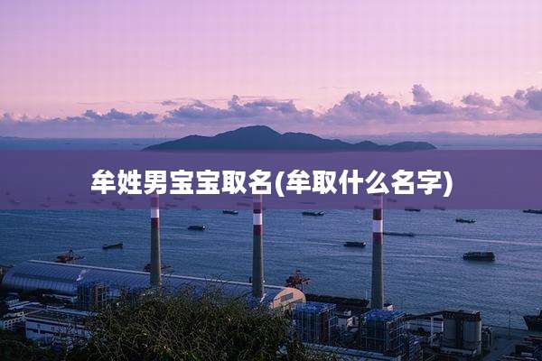 牟姓男宝宝取名(牟取什么名字)