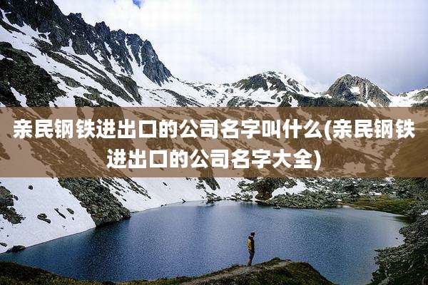 亲民钢铁进出口的公司名字叫什么(亲民钢铁进出口的公司名字大全)