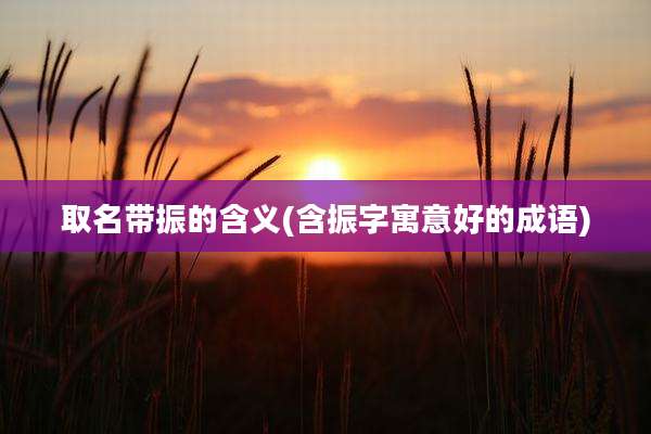 取名带振的含义(含振字寓意好的成语)