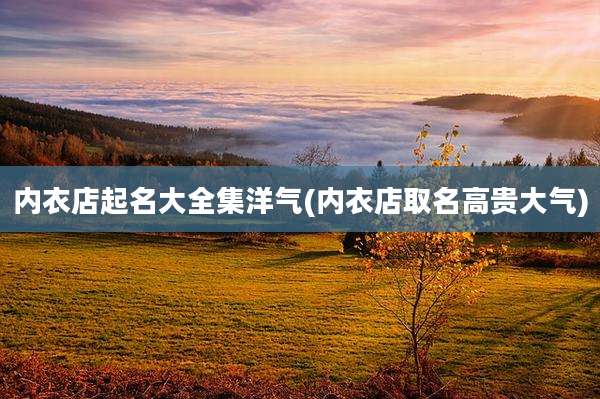 内衣店起名大全集洋气(内衣店取名高贵大气)