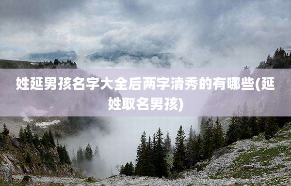 姓延男孩名字大全后两字清秀的有哪些(延姓取名男孩)